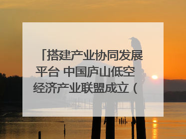 搭建产业协同发展平台 中国庐山低空经济产业联盟成立（组图｜视频）