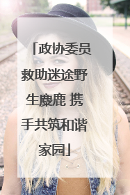 政协委员救助迷途野生麋鹿 携手共筑和谐家园