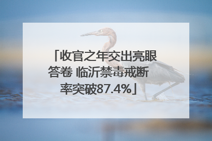 收官之年交出亮眼答卷 临沂禁毒戒断率突破87.4%