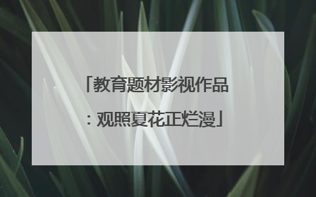 教育题材影视作品：观照夏花正烂漫