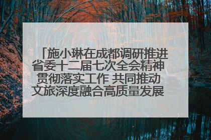 施小琳在成都调研推进省委十二届七次全会精神贯彻落实工作 共同推动文旅深度融合高质量发展 加快打造支柱产业民生产业幸福产业