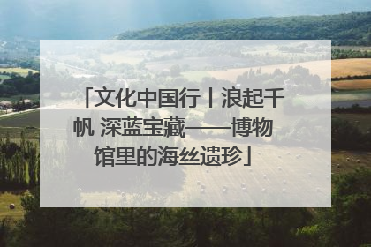 文化中国行丨浪起千帆 深蓝宝藏——博物馆里的海丝遗珍