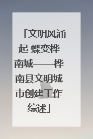 文明风涌起 蝶变桦南城——桦南县文明城市创建工作综述