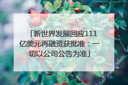 新世界发展回应111亿美元再融资获批准：一切以公司公告为准