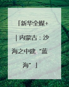 新华全媒+｜内蒙古：沙海之中建“蓝海”