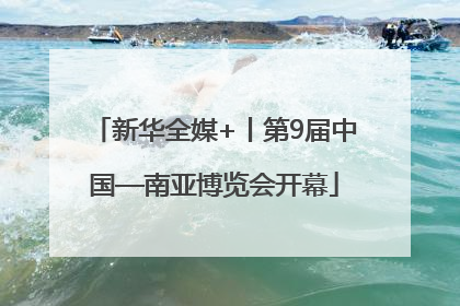 新华全媒+丨第9届中国—南亚博览会开幕