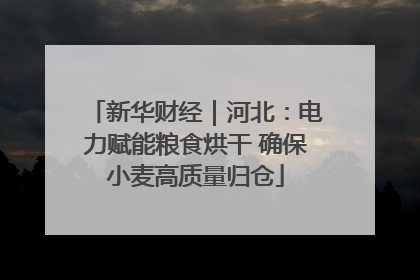 新华财经｜河北：电力赋能粮食烘干 确保小麦高质量归仓