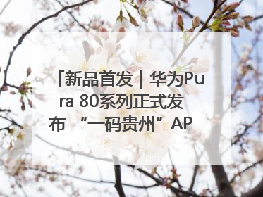 新品首发｜华为Pura 80系列正式发布 “一码贵州”APP抢先开售！