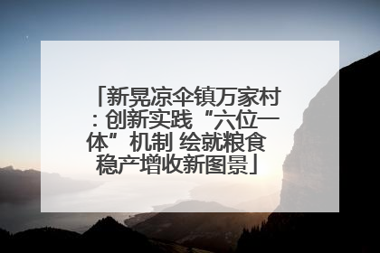 新晃凉伞镇万家村：创新实践“六位一体”机制 绘就粮食稳产增收新图景