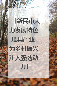 新民市大力发展特色瓜果产业 为乡村振兴注入强劲动力