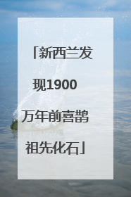 新西兰发现1900万年前喜鹊祖先化石