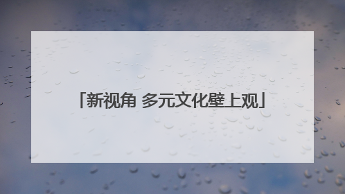 新视角 多元文化壁上观