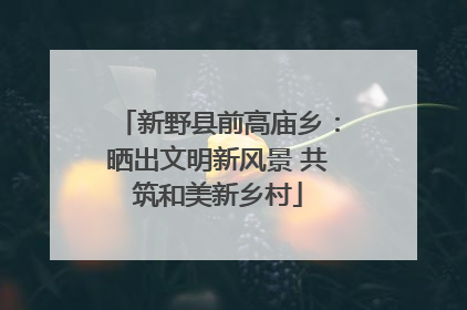 新野县前高庙乡：晒出文明新风景 共筑和美新乡村