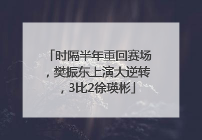 时隔半年重回赛场，樊振东上演大逆转，3比2徐瑛彬