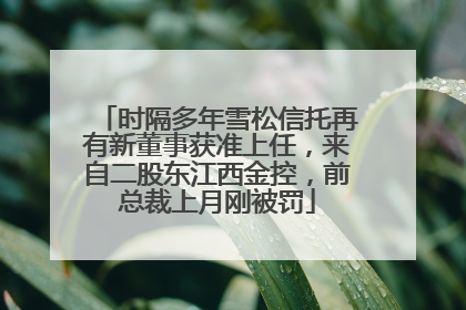 时隔多年雪松信托再有新董事获准上任，来自二股东江西金控，前总裁上月刚被罚