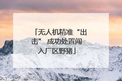 无人机精准“出击” 成功处置闯入厂区野猪