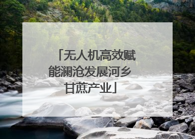 无人机高效赋能澜沧发展河乡甘蔗产业