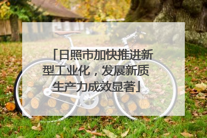 日照市加快推进新型工业化，发展新质生产力成效显著
