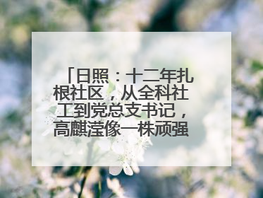 日照：十二年扎根社区，从全科社工到党总支书记，高麒滢像一株顽强的巴根草，把根深深扎进基层的土壤——“巴根草书记”的夏日叙事