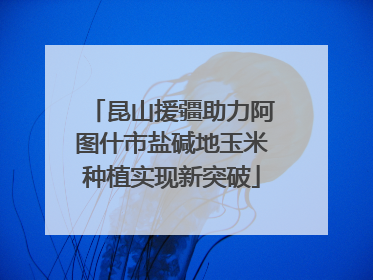 昆山援疆助力阿图什市盐碱地玉米种植实现新突破