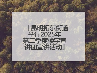 昆明拓东街道举行2025年第二季度楼宇宣讲团宣讲活动