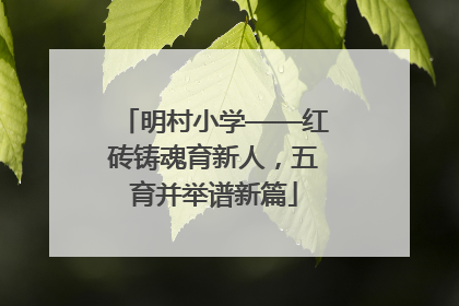 明村小学——红砖铸魂育新人，五育并举谱新篇