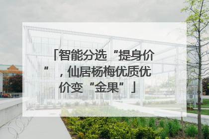 智能分选“提身价”，仙居杨梅优质优价变“金果”
