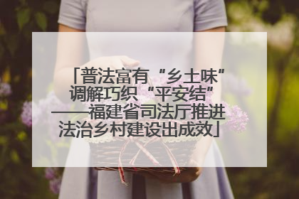 普法富有“乡土味” 调解巧织“平安结”——福建省司法厅推进法治乡村建设出成效