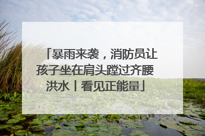 暴雨来袭，消防员让孩子坐在肩头蹚过齐腰洪水丨看见正能量