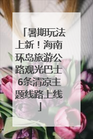 暑期玩法上新！海南环岛旅游公路观光巴士6条清凉主题线路上线