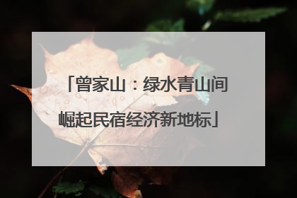 曾家山：绿水青山间崛起民宿经济新地标