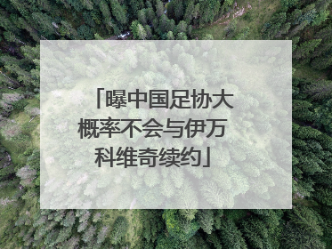 曝中国足协大概率不会与伊万科维奇续约