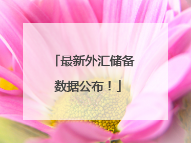 最新外汇储备数据公布！