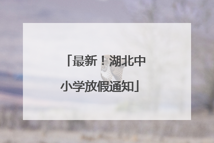 最新！湖北中小学放假通知