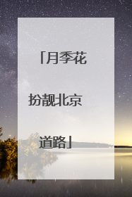 月季花扮靓北京道路