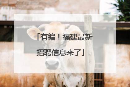 有编！福建最新招聘信息来了