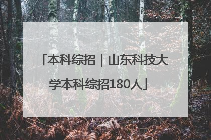本科综招｜山东科技大学本科综招180人
