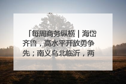每周商务纵横｜海岱齐鲁，高水平开放勇争先；南义乌北临沂，两扇窗里观外贸