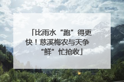 比雨水“跑”得更快！慈溪梅农与天争“鲜”忙抢收