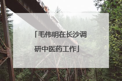 毛伟明在长沙调研中医药工作