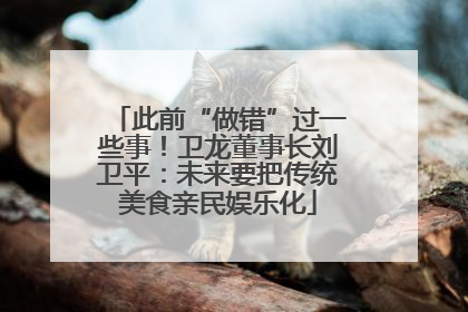 此前“做错”过一些事！卫龙董事长刘卫平：未来要把传统美食亲民娱乐化
