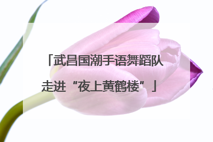 武昌国潮手语舞蹈队走进“夜上黄鹤楼”