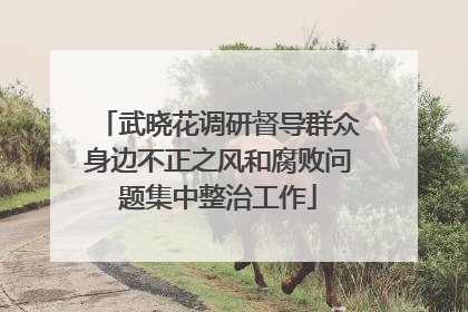 武晓花调研督导群众身边不正之风和腐败问题集中整治工作