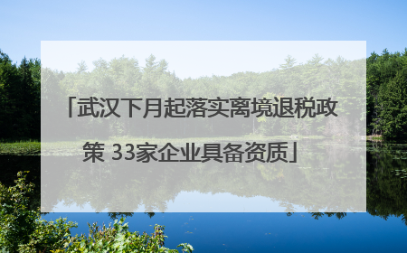 武汉下月起落实离境退税政策 33家企业具备资质