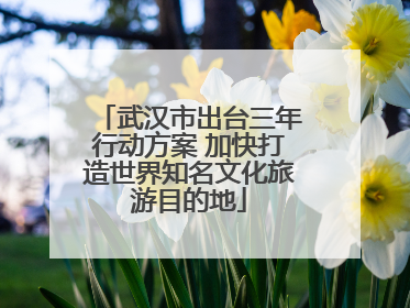 武汉市出台三年行动方案 加快打造世界知名文化旅游目的地