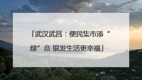 武汉武昌：便民集市添“绿”意 银发生活更幸福