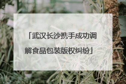 武汉长沙携手成功调解食品包装版权纠纷