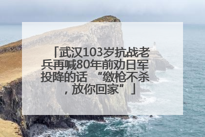 武汉103岁抗战老兵再喊80年前劝日军投降的话 “缴枪不杀，放你回家”