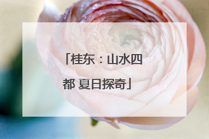 桂东：山水四都 夏日探奇