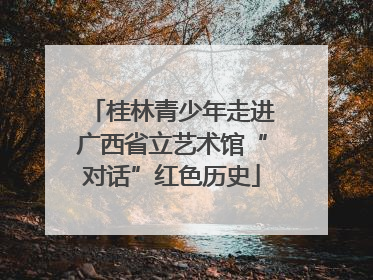桂林青少年走进广西省立艺术馆“对话”红色历史